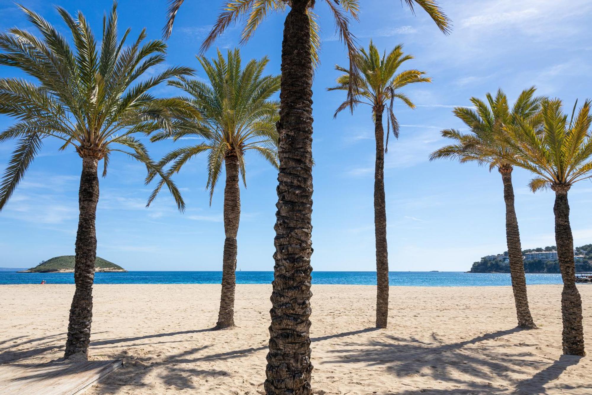 My Sea View - Magaluf * Magaluf (Mallorca)